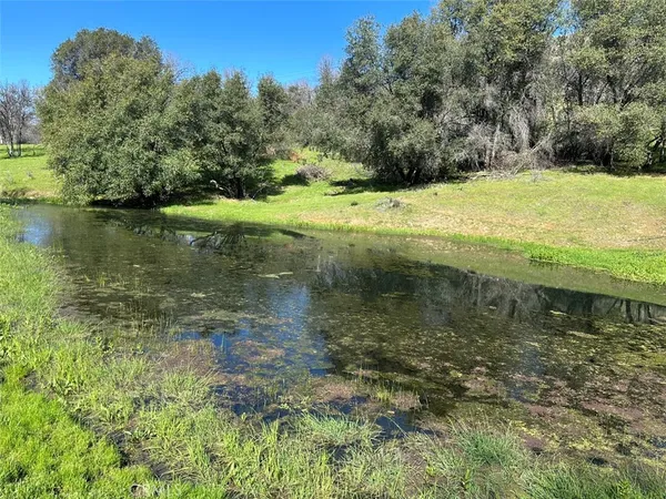 a view of a lake with a yard