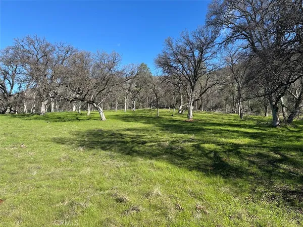 a view of a field with trees in the background