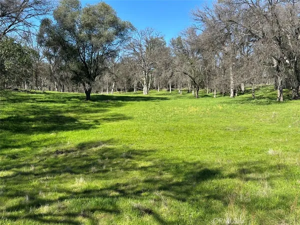 a view of a golf course with a tree