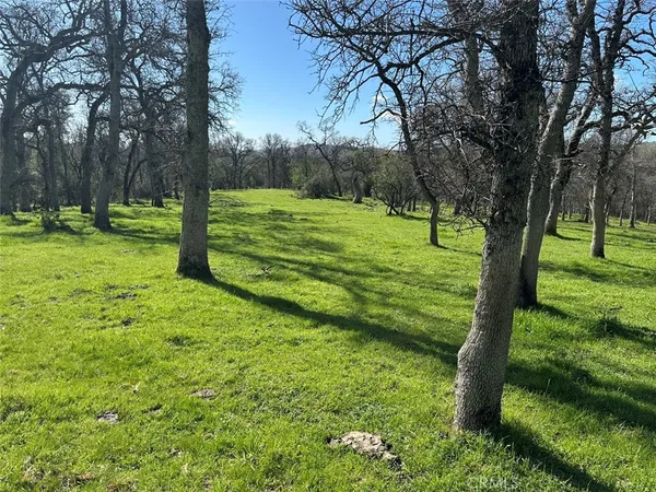 $1,199,000 | 49n Mariposa Ca, Mariposa, CA 95338
