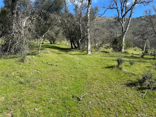 $1,199,000 | 49n Mariposa Ca, Mariposa, CA 95338