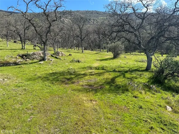 $1,199,000 | 49n Mariposa Ca, Mariposa, CA 95338