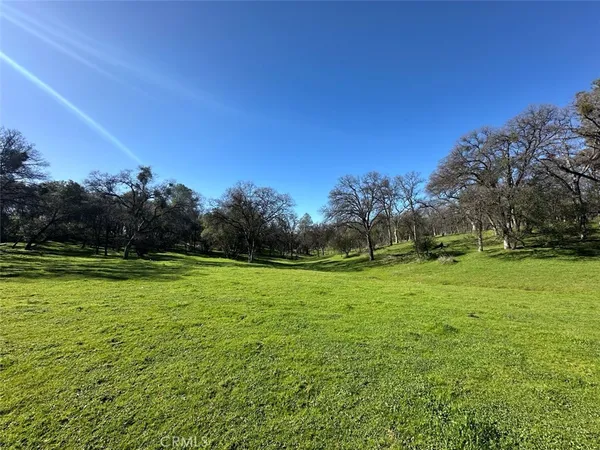 a view of a field of grass and trees