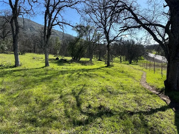 a view of park space