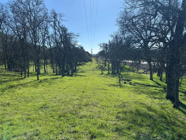 a view of a green field with clear sky