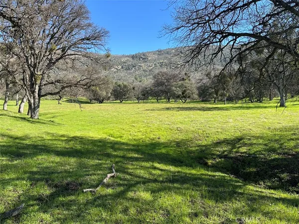 a view of a yard with a house in the background