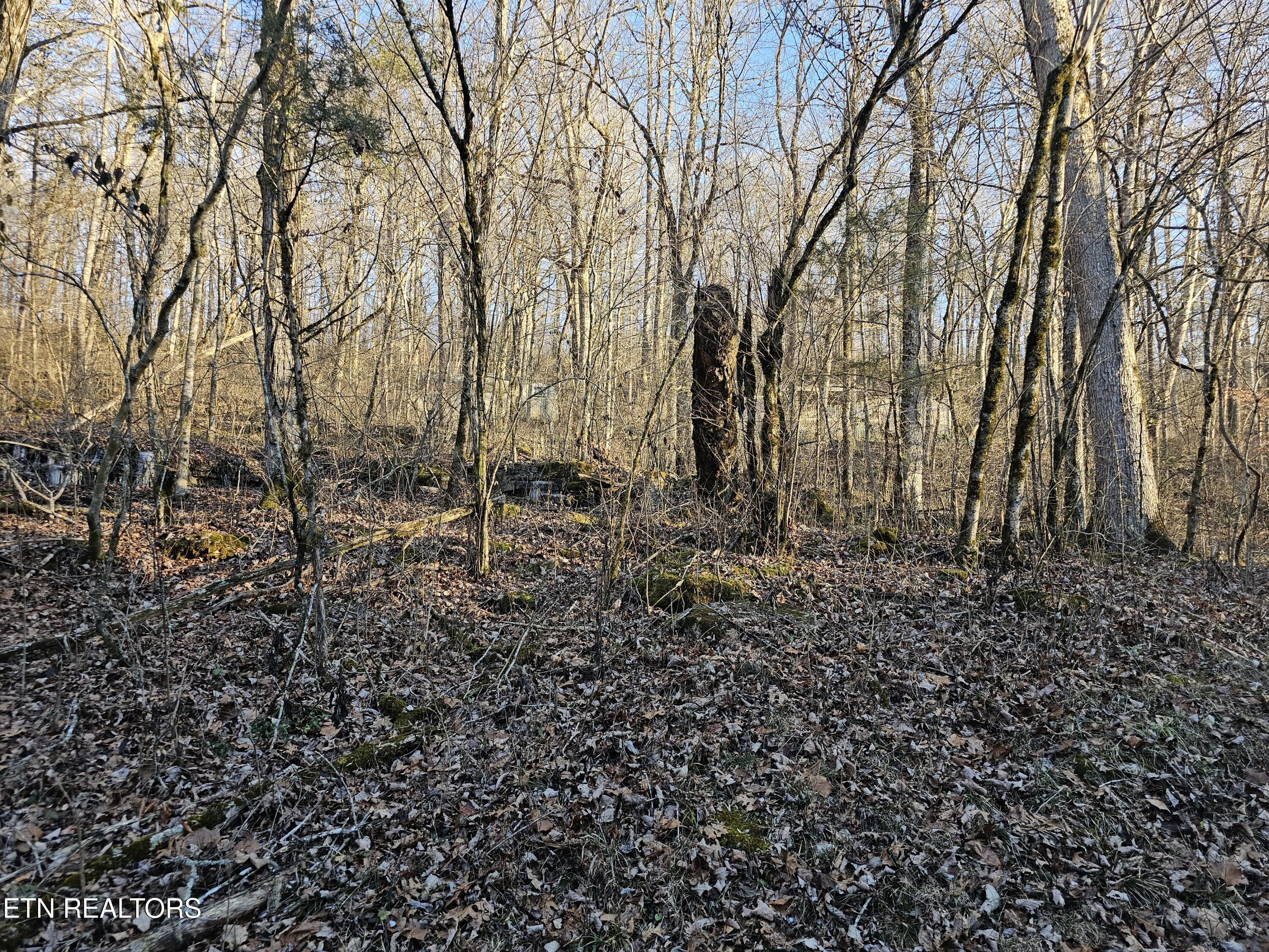 Blue Springs Road Speedwell, TN 37870 - Photo 4 of 6 20250109_163836