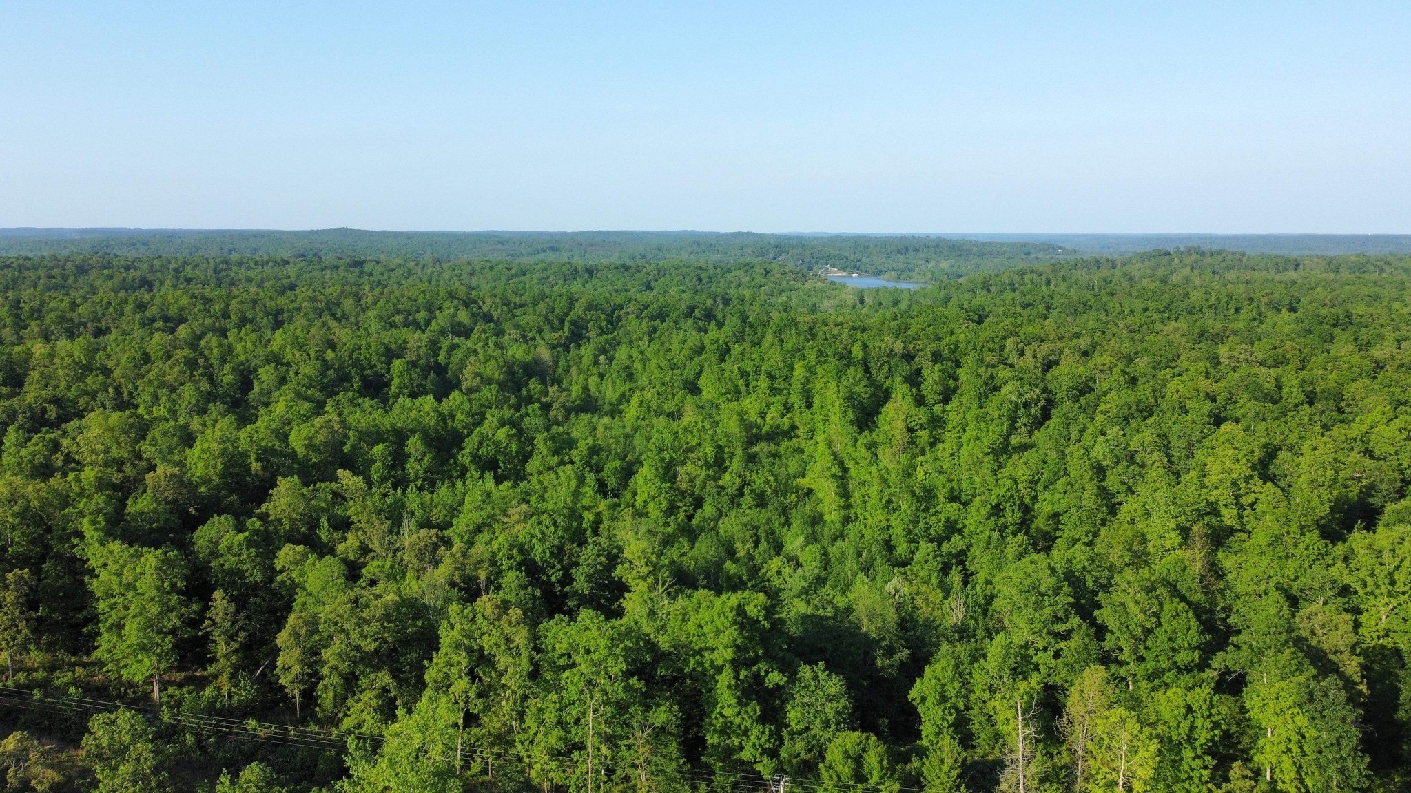 0 Brodies Landing Road Parsons, TN 38363 - Photo 3 of 4 with view of a field of grass and trees