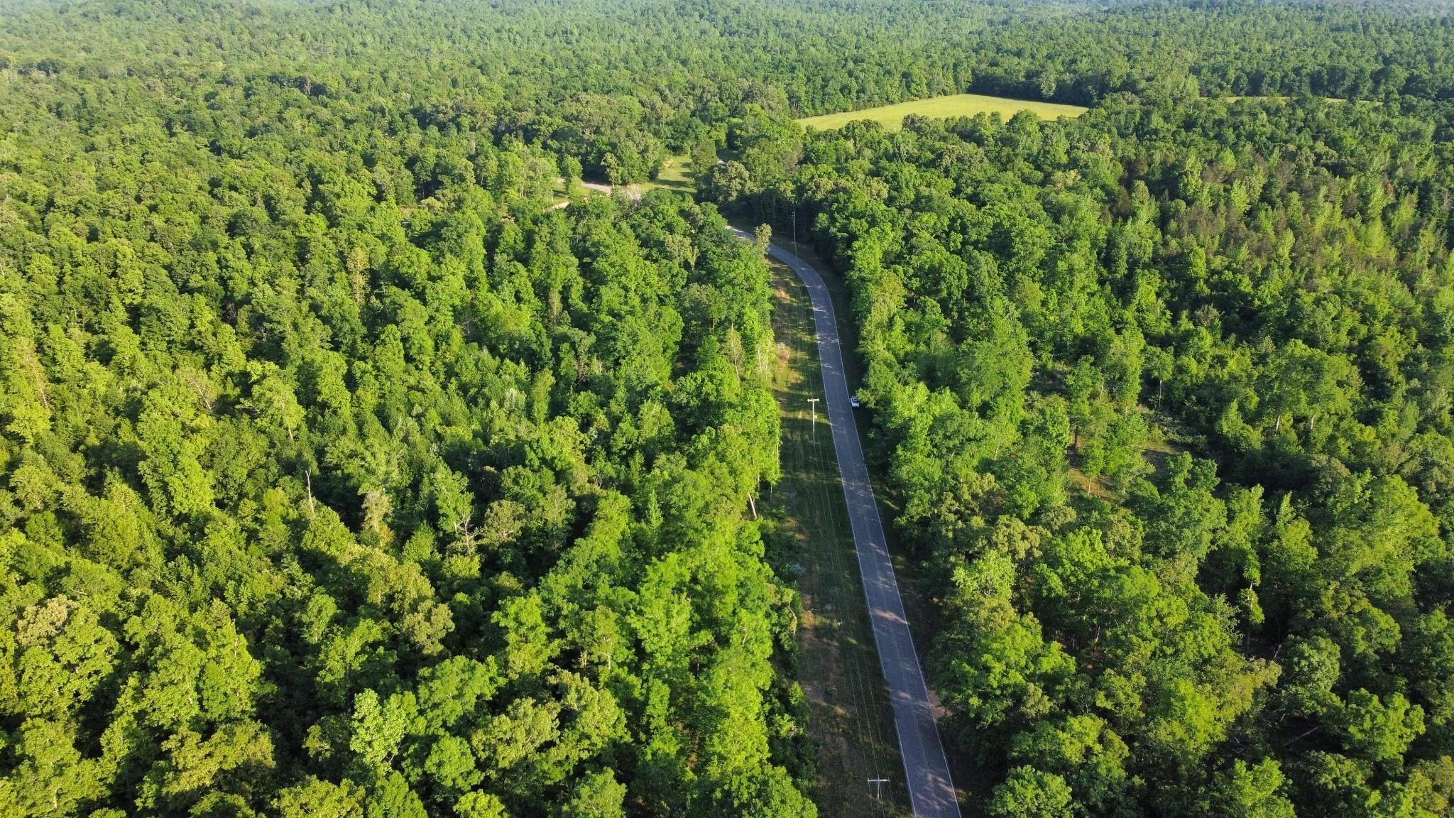 0 Brodies Landing Road Parsons, TN 38363 - Photo 4 of 4 a view of a lush green forest with lawn chairs and plants