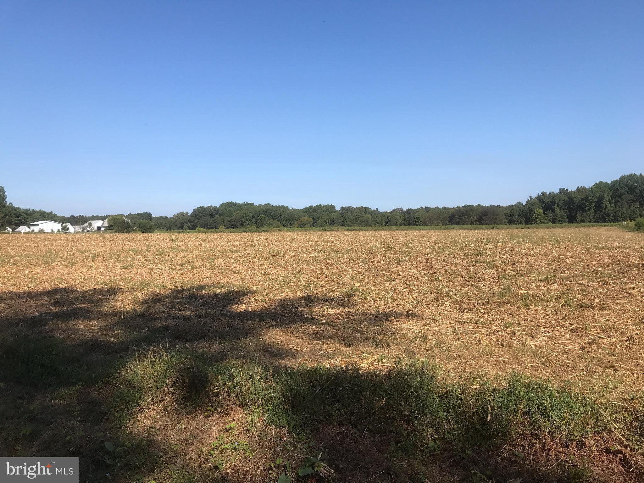 Statum Road Preston, MD 21655 - Photo 2 of 3 View