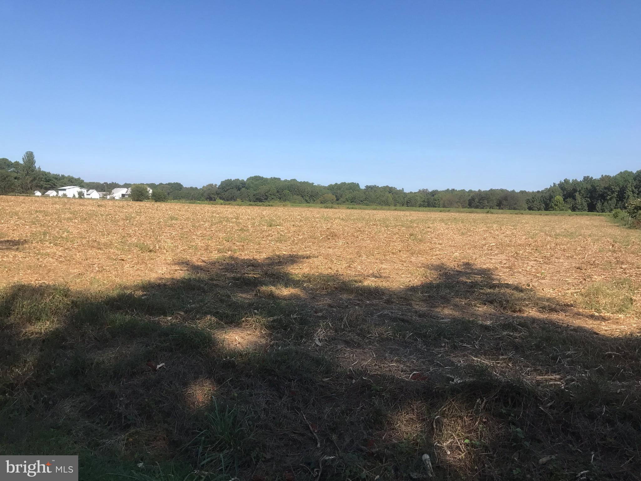 Statum Road Preston, MD 21655 - Photo 3 of 3 View