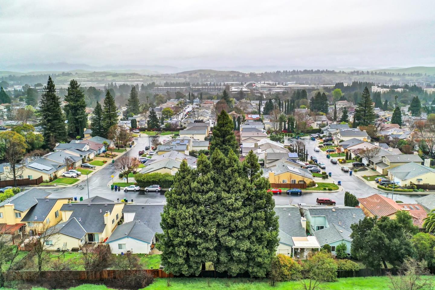 446 Santander Drive San Ramon, CA 94583 - Photo 47 of 50