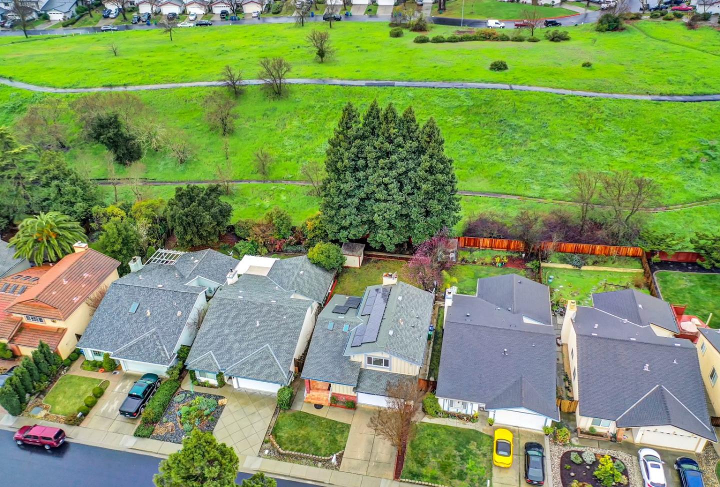 446 Santander Drive San Ramon, CA 94583 - Photo 48 of 50