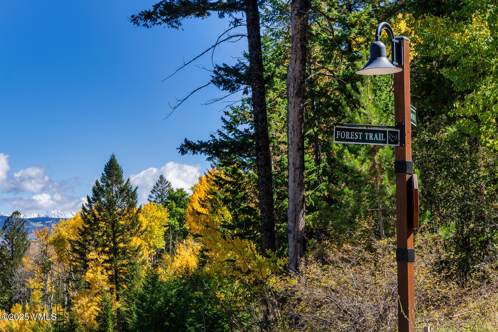 880 Forest Trail Edwards, CO 81632 - Photo 114 of 119 880_Forest_Trail_Autumn_Views_003