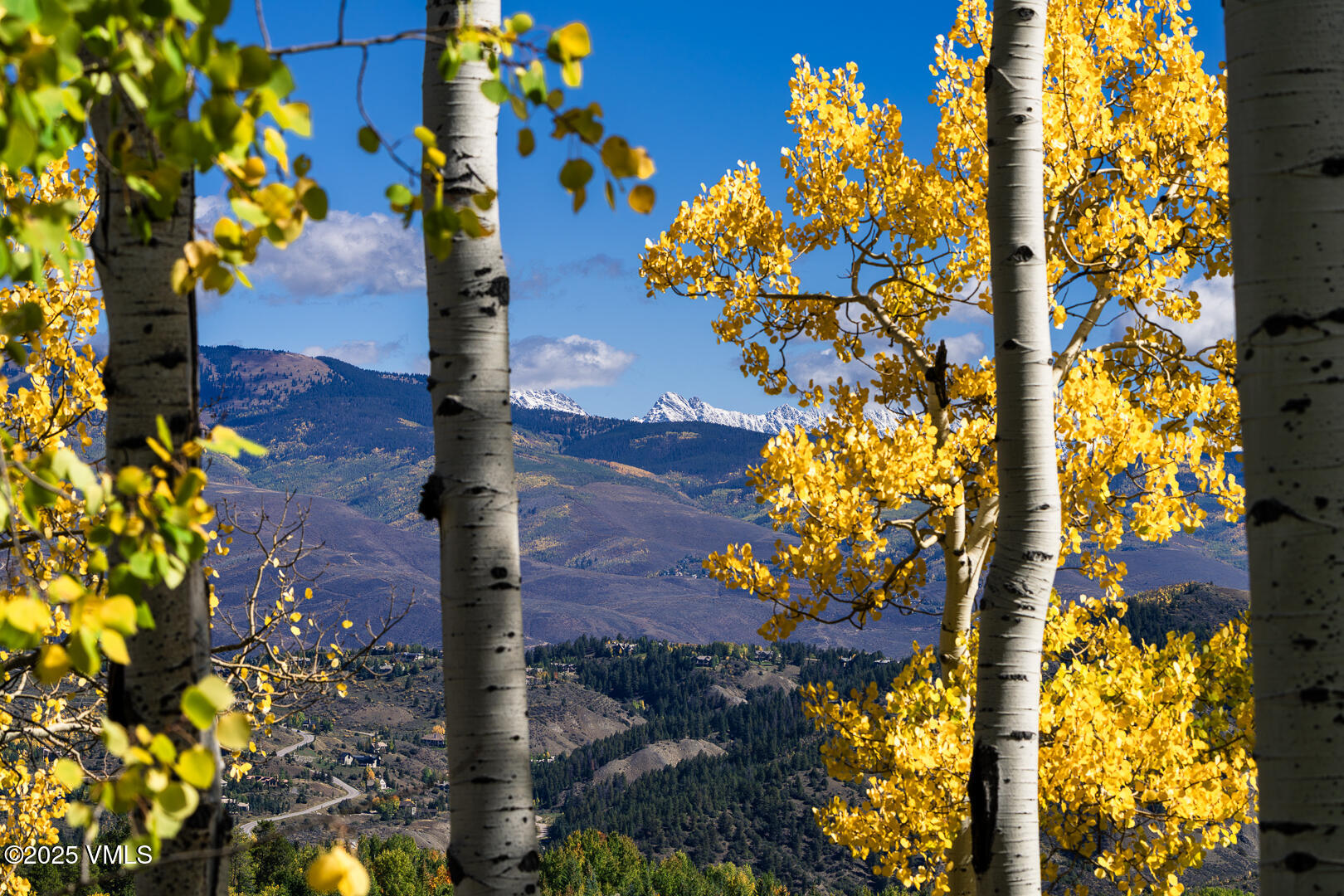 880 Forest Trail Edwards, CO 81632 - Photo 117 of 119 880_Forest_Trail_Autumn_Views_028