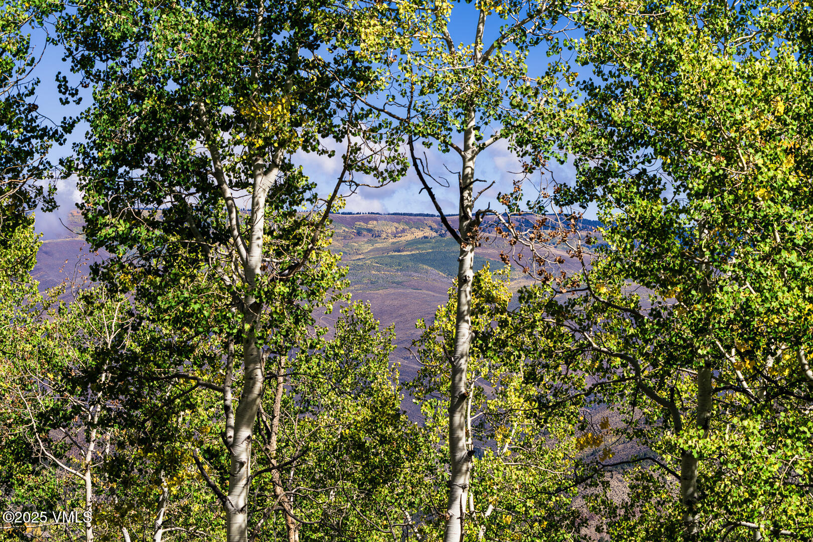 880 Forest Trail Edwards, CO 81632 - Photo 118 of 119 880_Forest_Trail_Autumn_Views_037