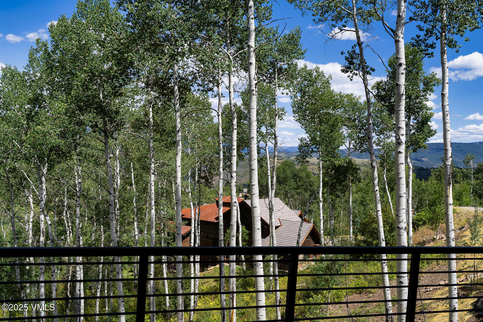 880 Forest Trail Edwards, CO 81632 - Photo 37 of 119 880_Forest_Trail_Staged_024
