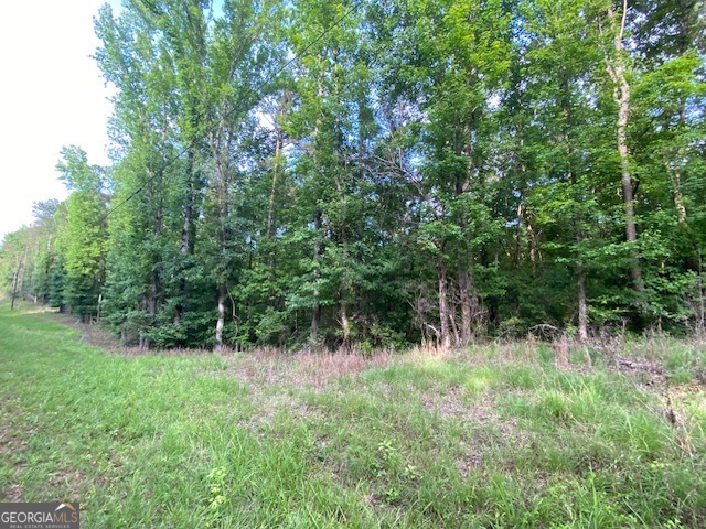 0 Neely Road LaGrange, GA 30240 - Photo 6 of 7