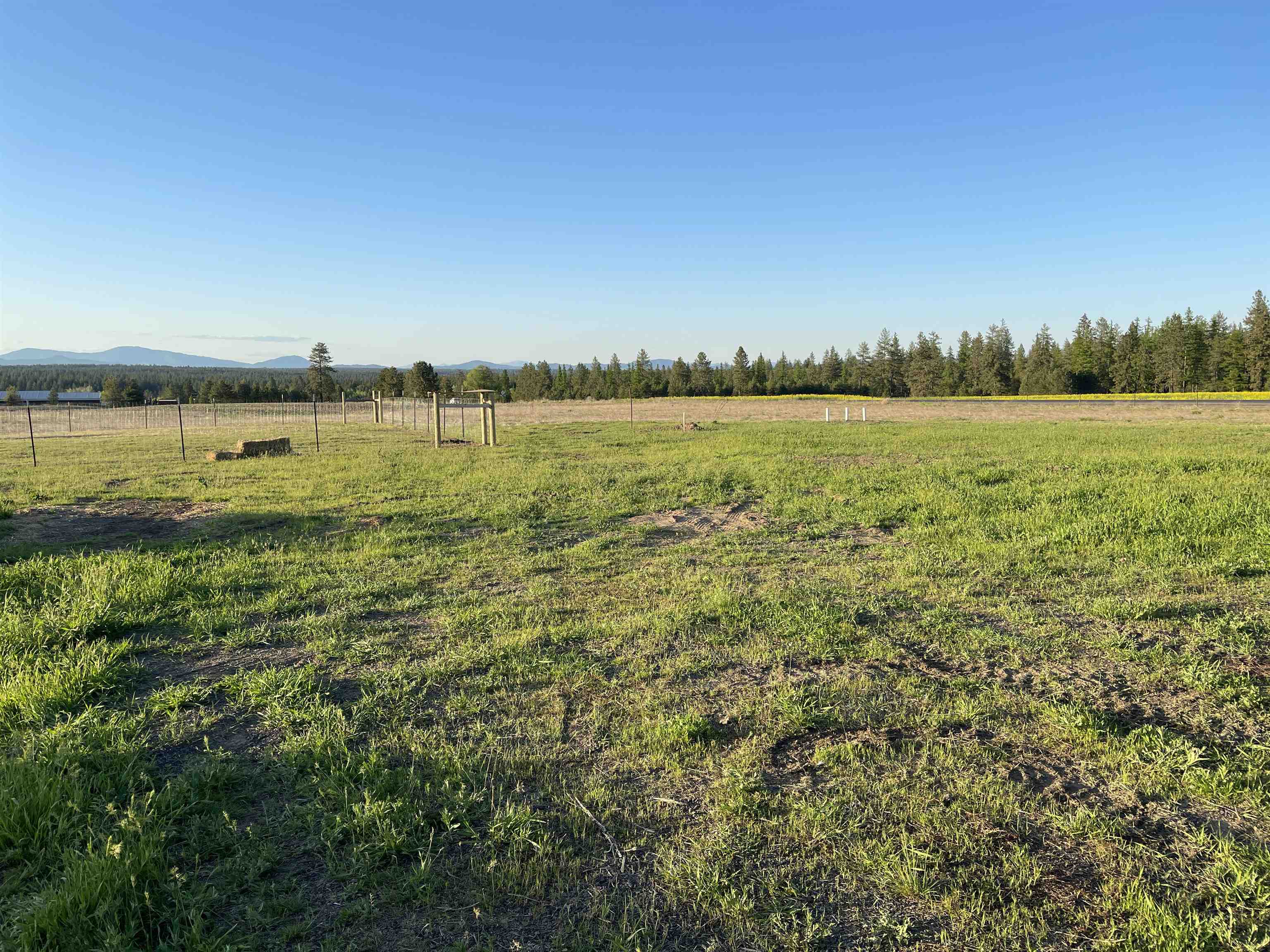 810 West Wild Rose Road Colbert, WA 99005 - Photo 42 of 49