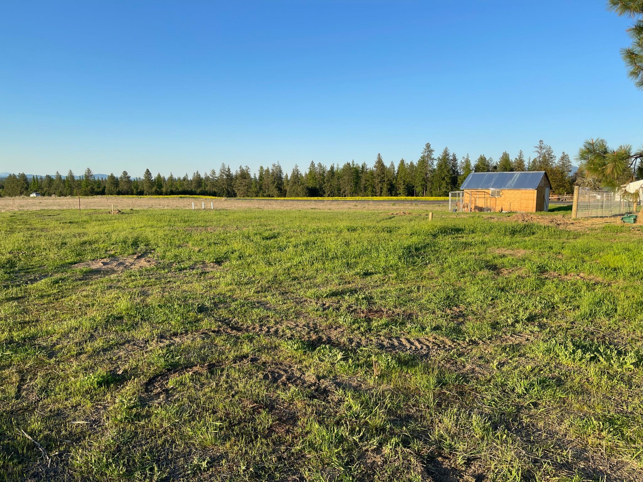 810 West Wild Rose Road Colbert, WA 99005 - Photo 43 of 49