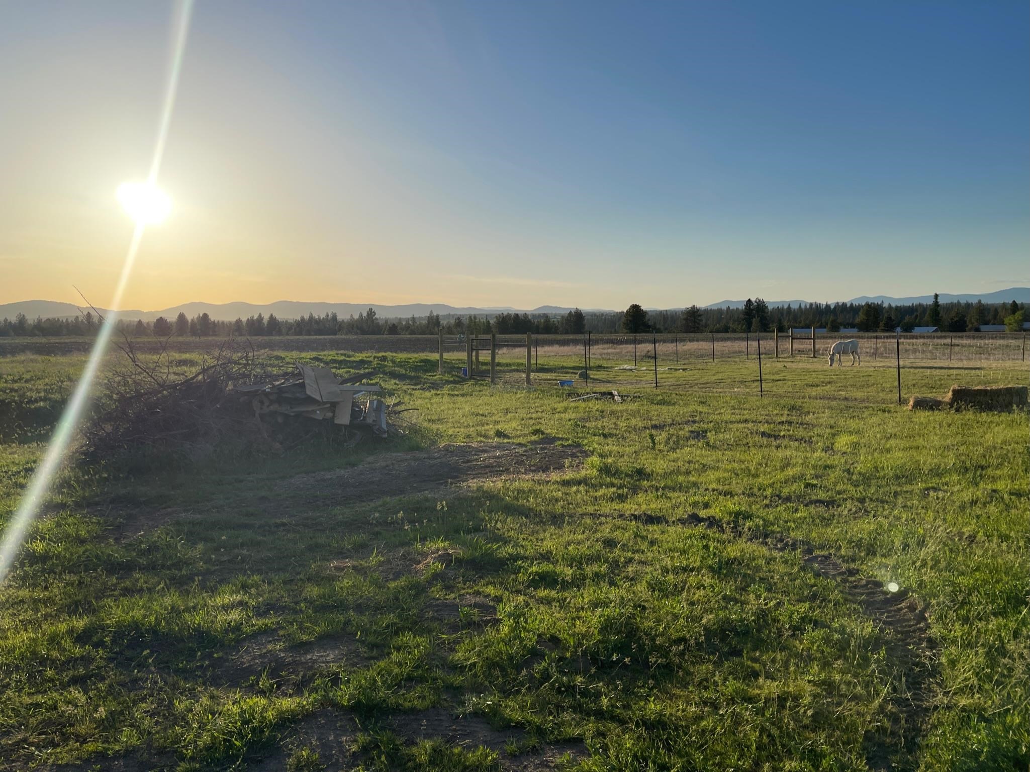 810 West Wild Rose Road Colbert, WA 99005 - Photo 44 of 49