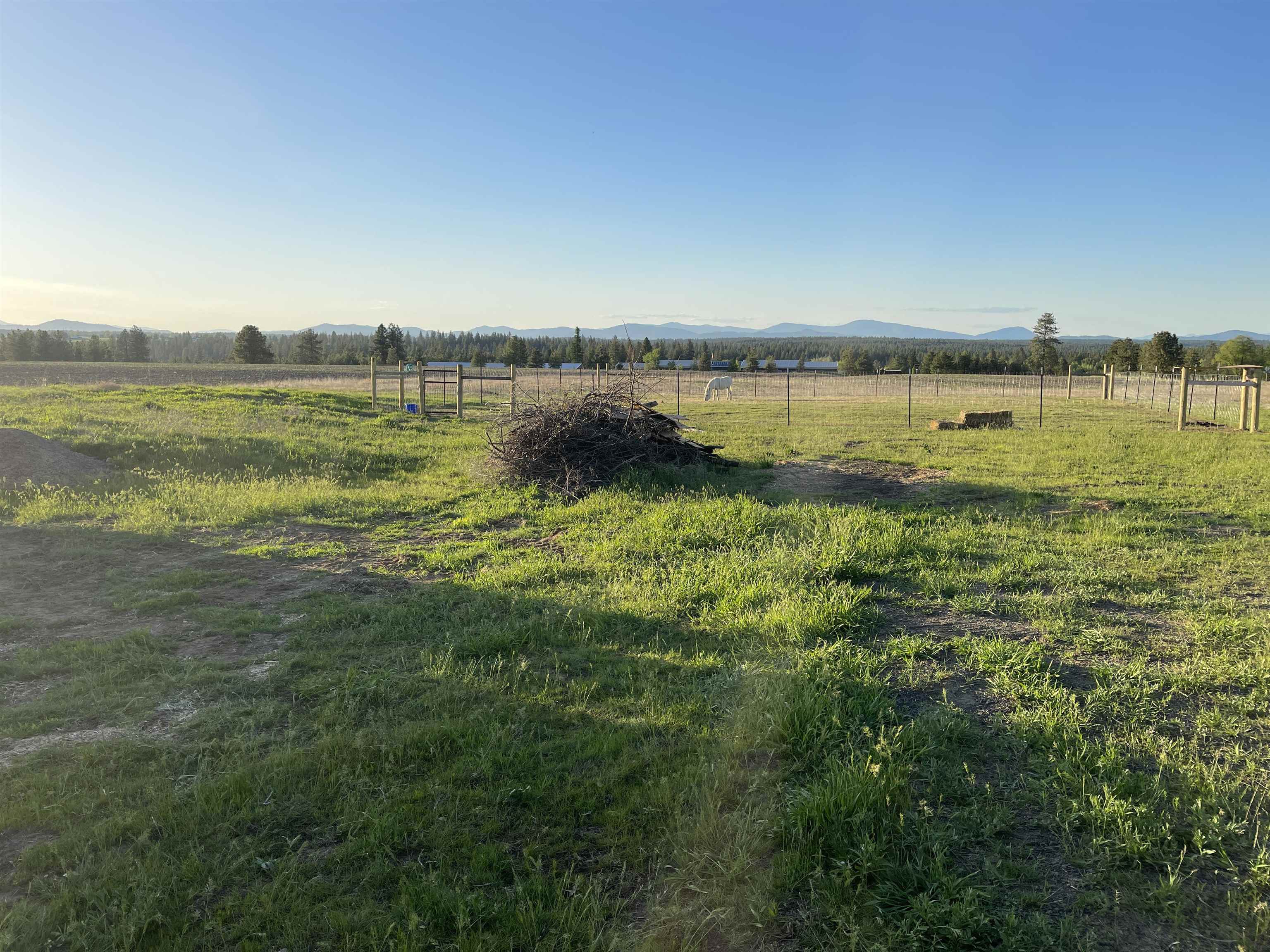 810 West Wild Rose Road Colbert, WA 99005 - Photo 45 of 49