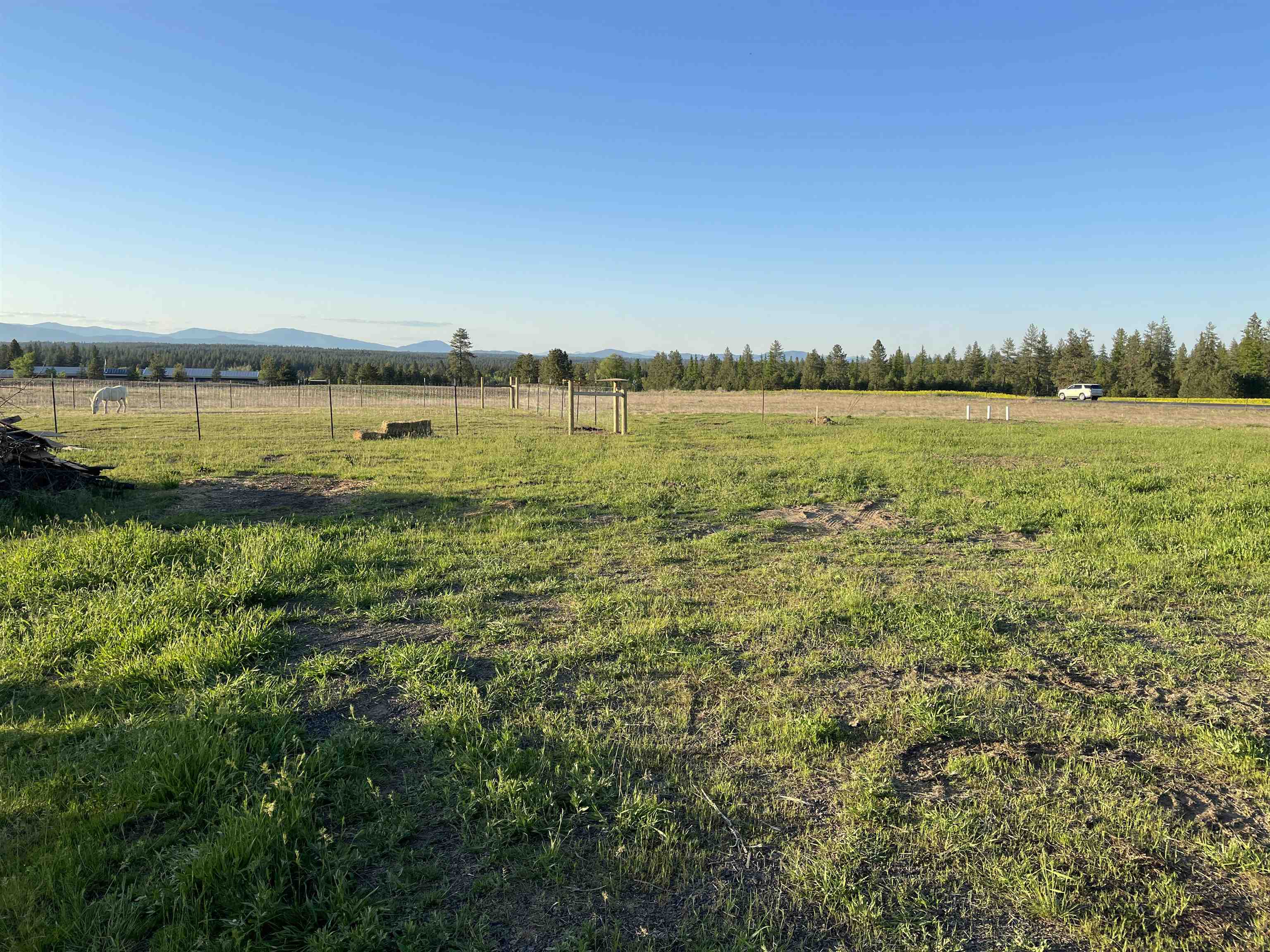 810 West Wild Rose Road Colbert, WA 99005 - Photo 47 of 49