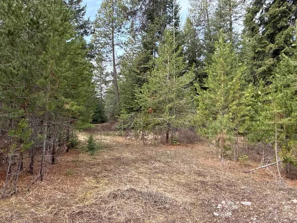 $40,000 | 4828 Eagle Ridge Way, Springdale, WA 99173
