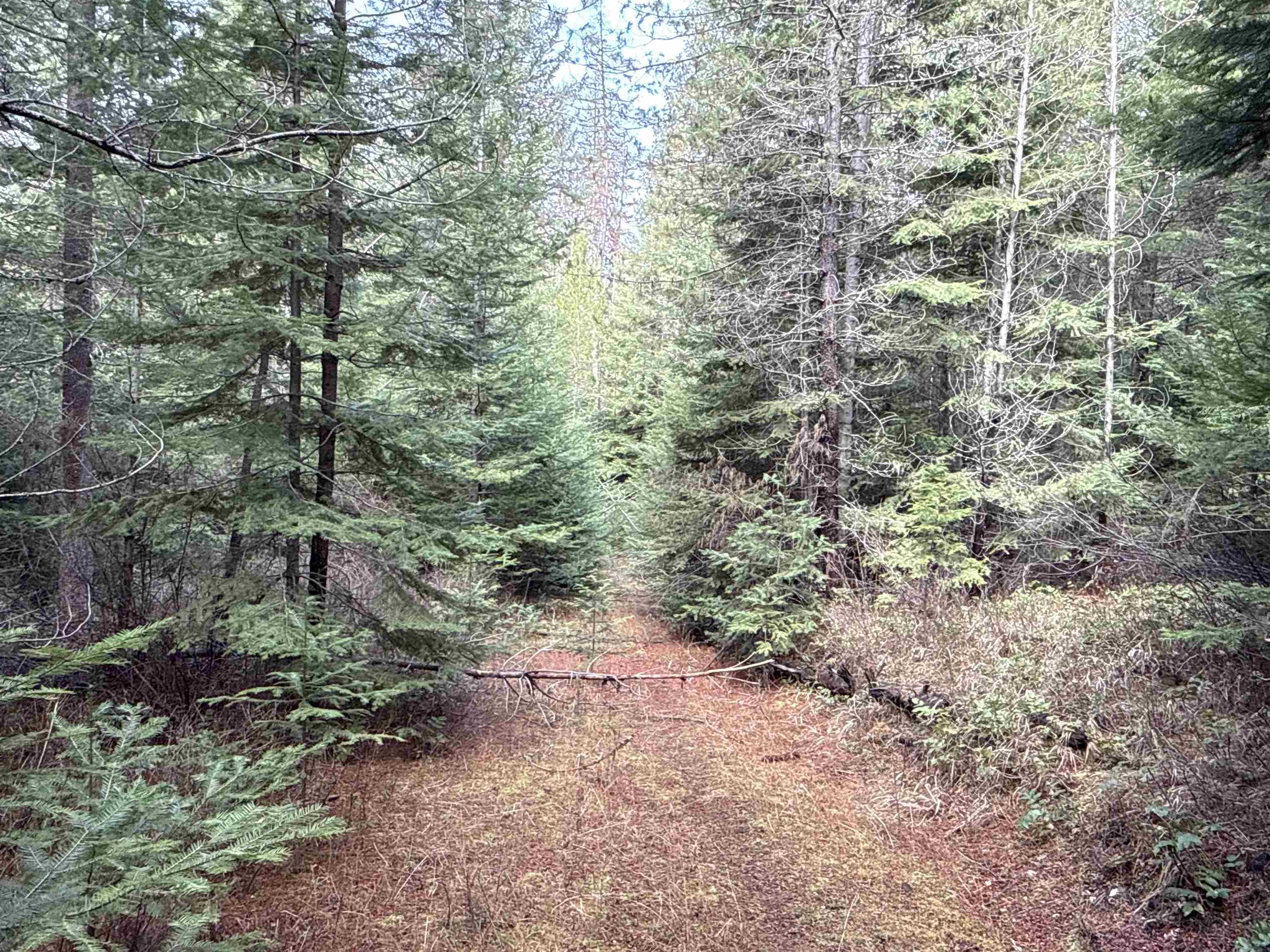 4828 Eagle Ridge Way Springdale, WA 99173 - Photo 15 of 23