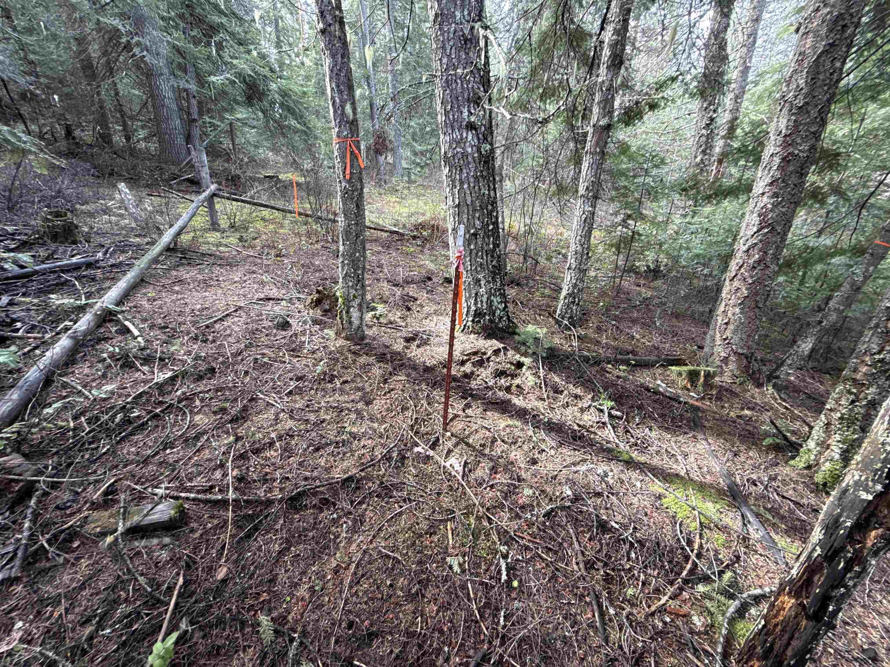 4828 Eagle Ridge Way Springdale, WA 99173 - Photo 16 of 23