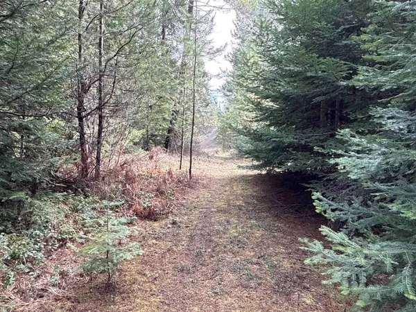 $40,000 | 4828 Eagle Ridge Way, Springdale, WA 99173