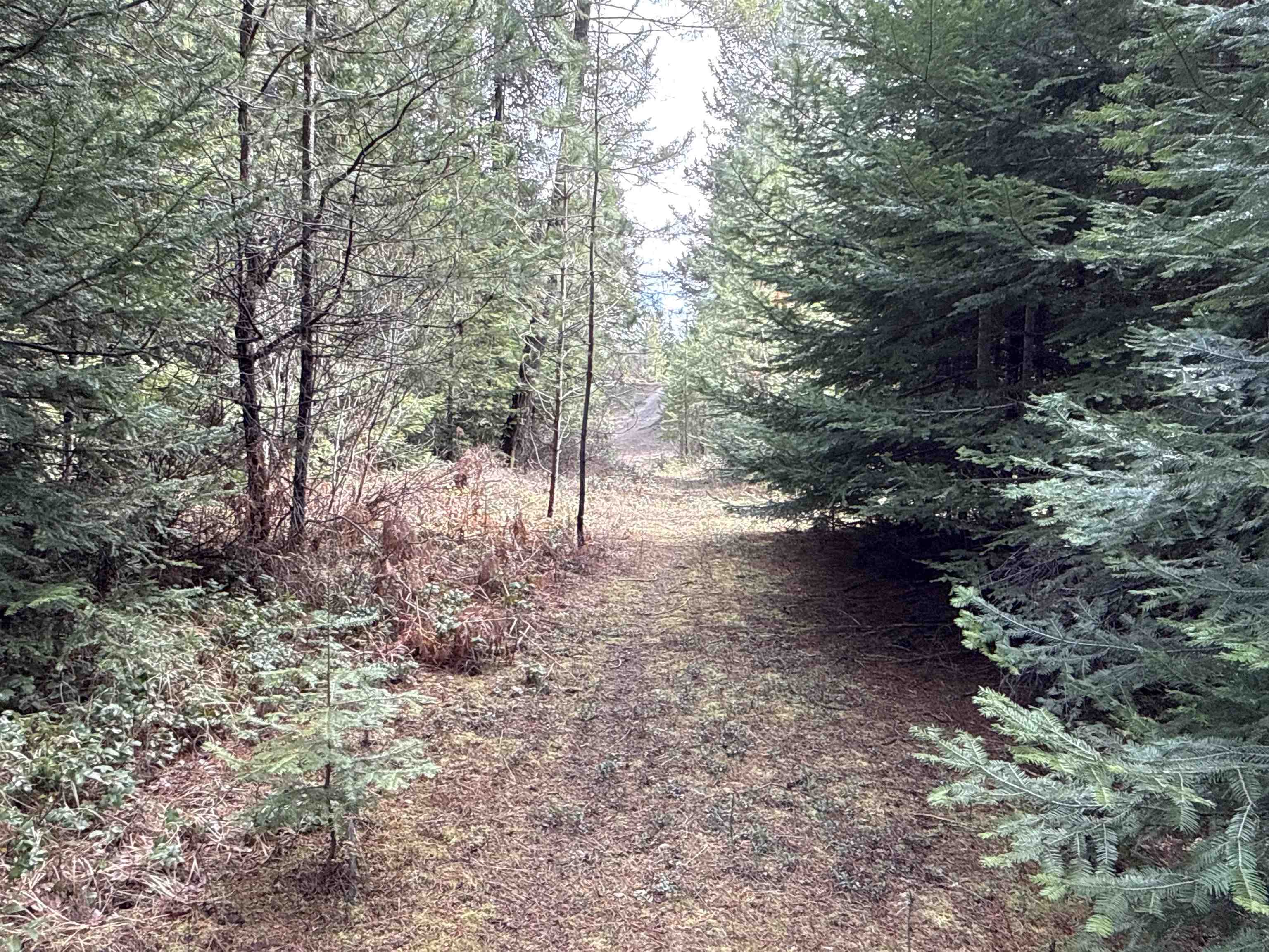 4828 Eagle Ridge Way Springdale, WA 99173 - Photo 18 of 23