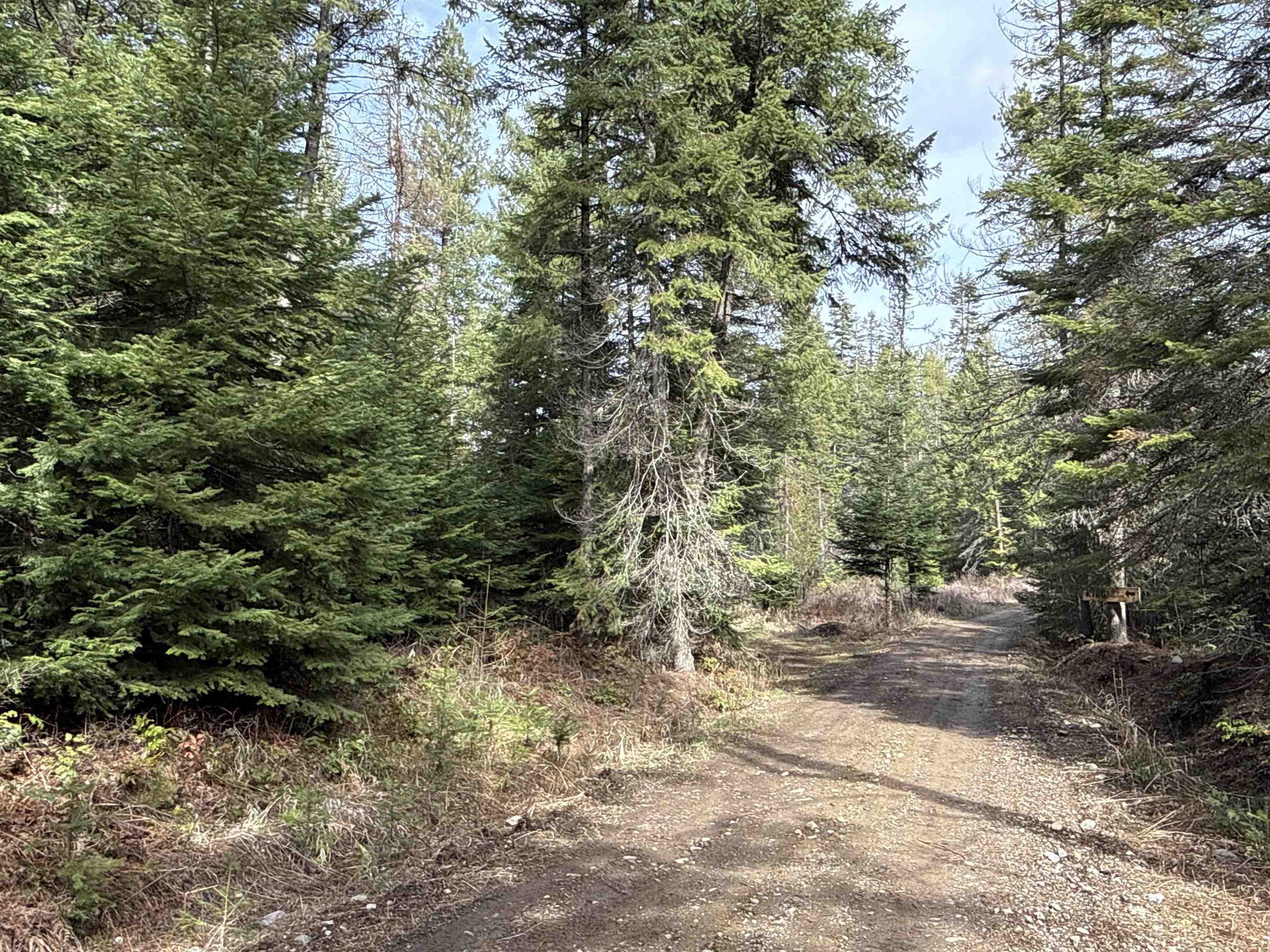 4828 Eagle Ridge Way Springdale, WA 99173 - Photo 20 of 23