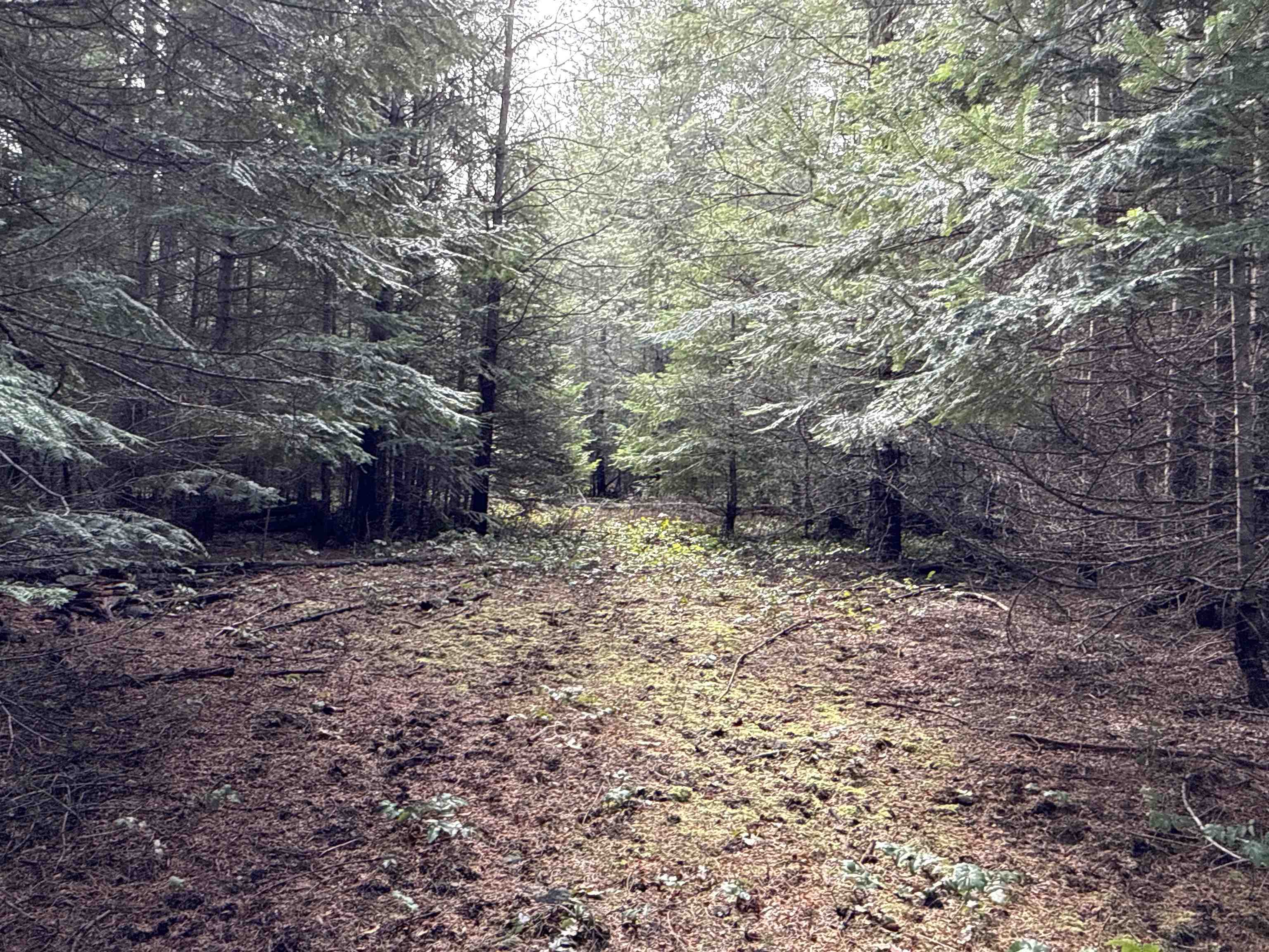 4828 Eagle Ridge Way Springdale, WA 99173 - Photo 2 of 23