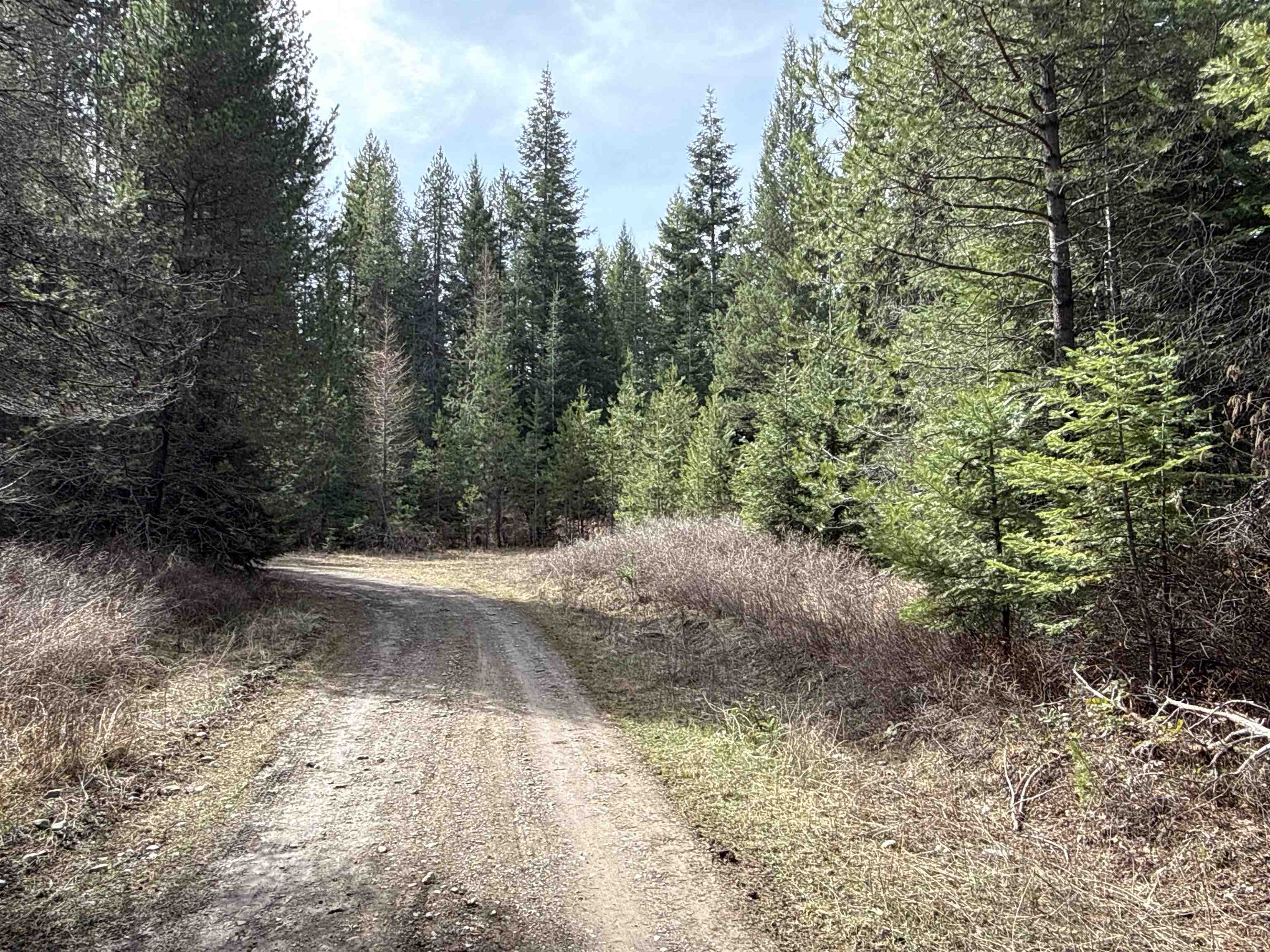 4828 Eagle Ridge Way Springdale, WA 99173 - Photo 21 of 23