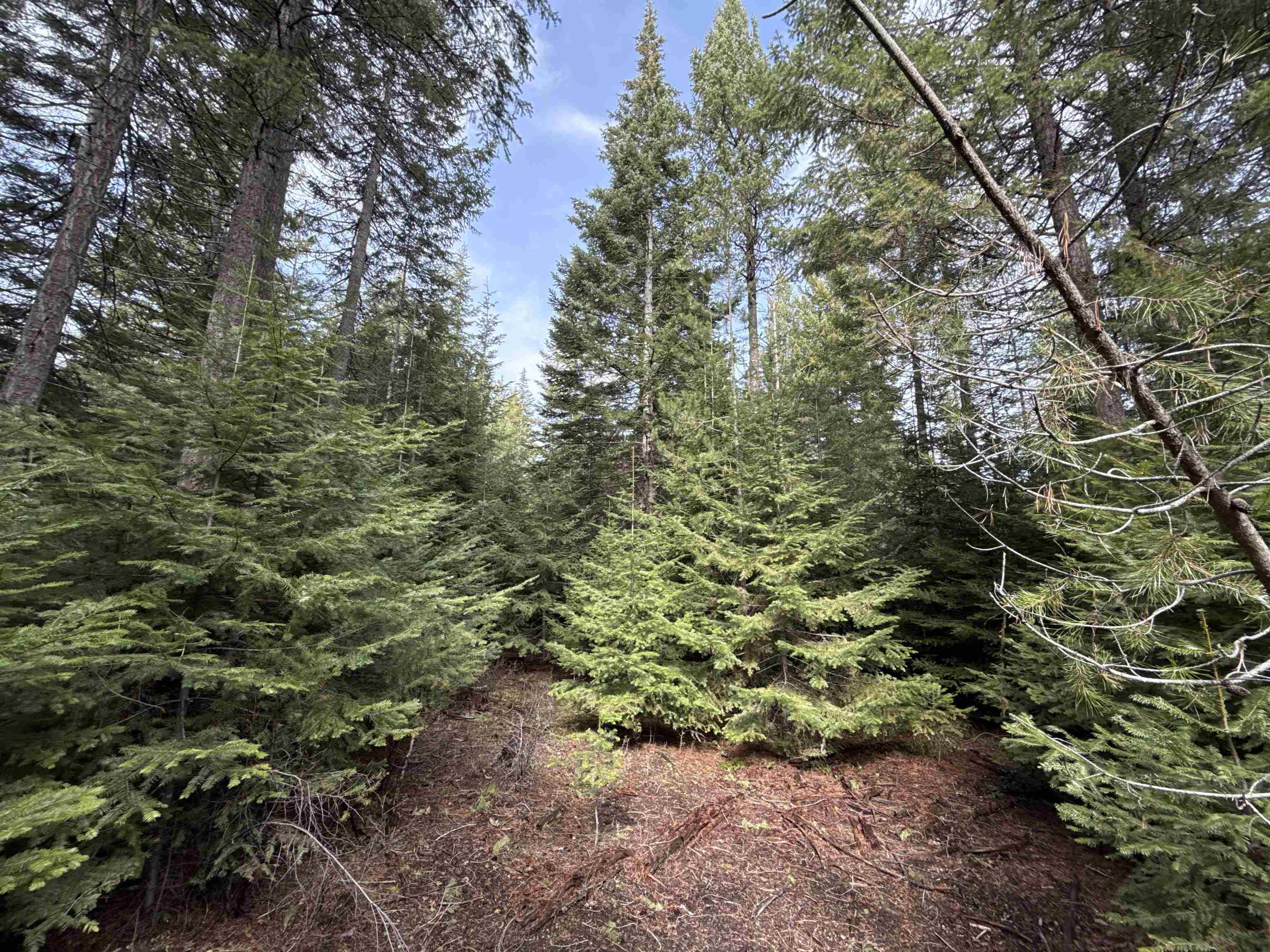 4828 Eagle Ridge Way Springdale, WA 99173 - Photo 3 of 23