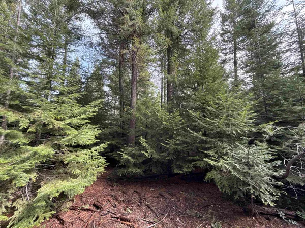 $40,000 | 4828 Eagle Ridge Way, Springdale, WA 99173