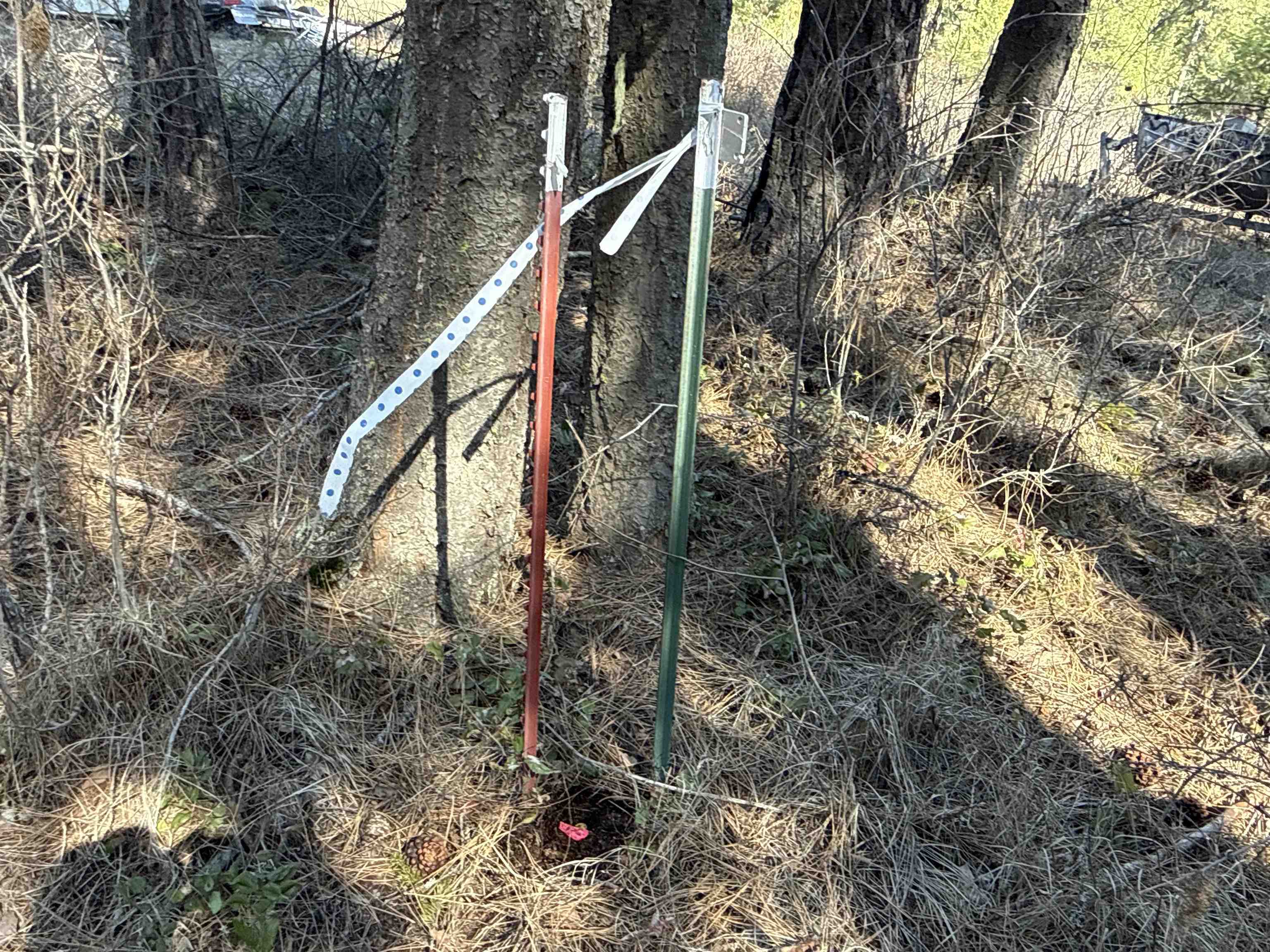 4828 Eagle Ridge Way Springdale, WA 99173 - Photo 5 of 23