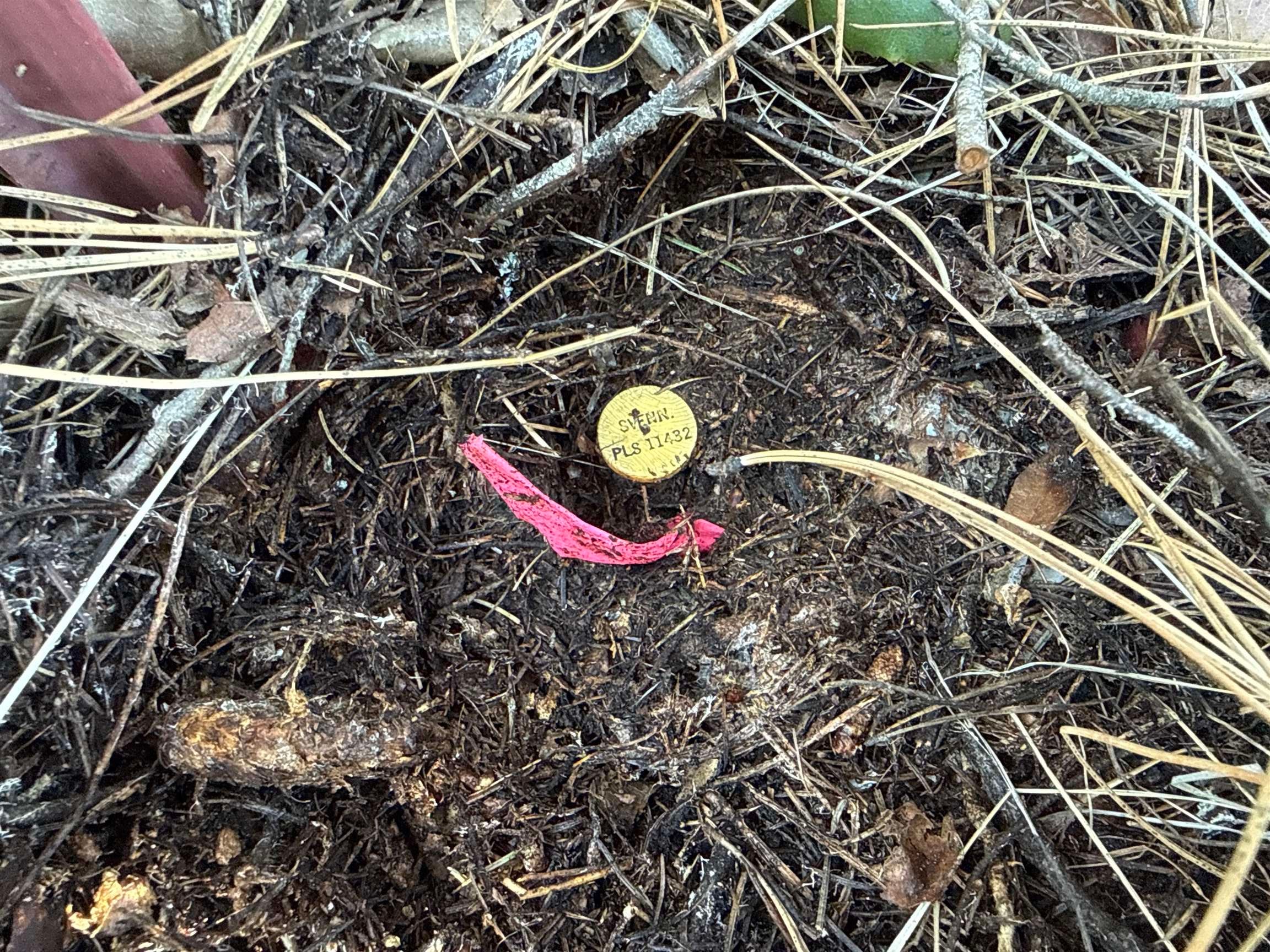 4828 Eagle Ridge Way Springdale, WA 99173 - Photo 6 of 23