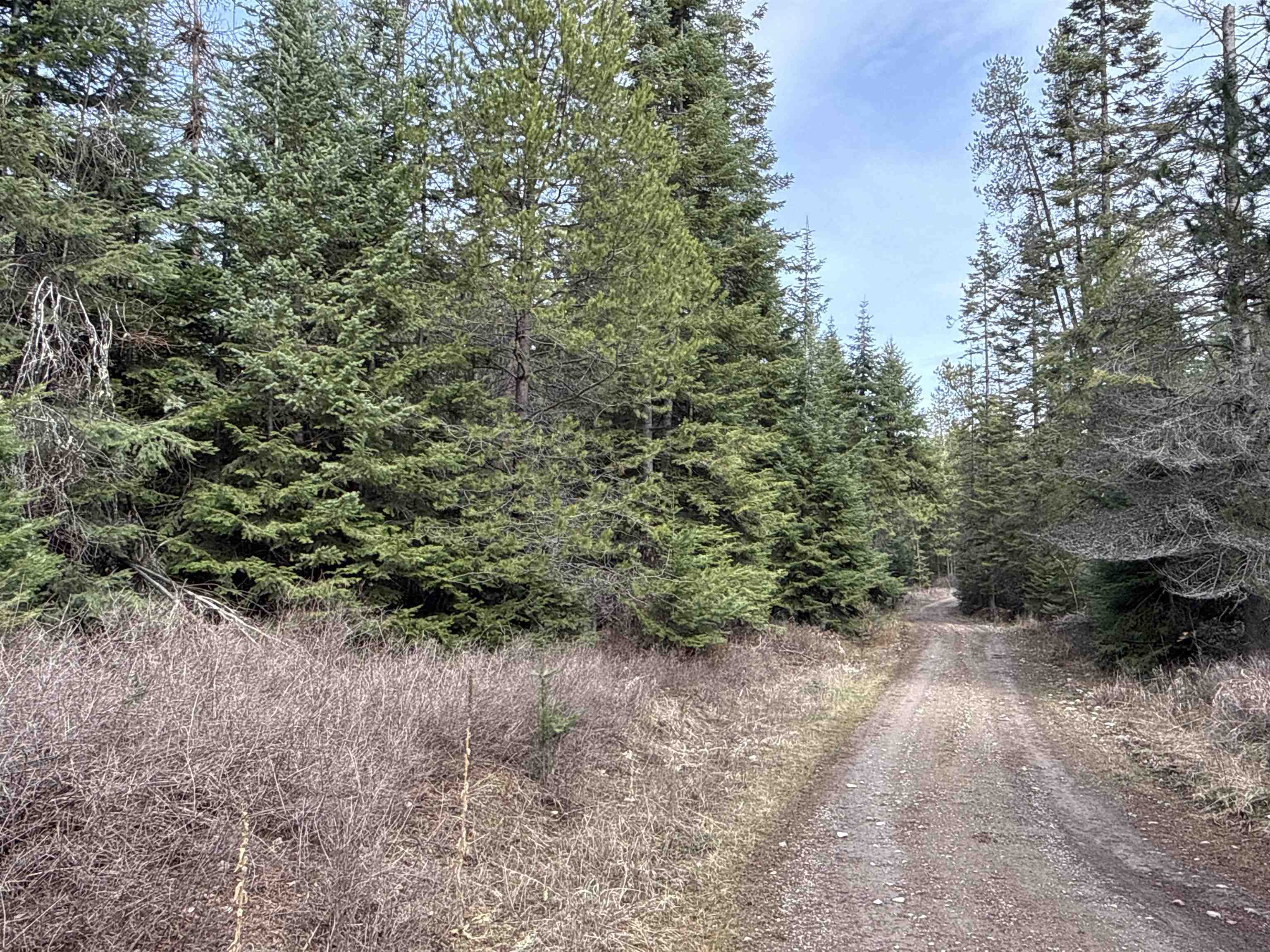 4828 Eagle Ridge Way Springdale, WA 99173 - Photo 7 of 23