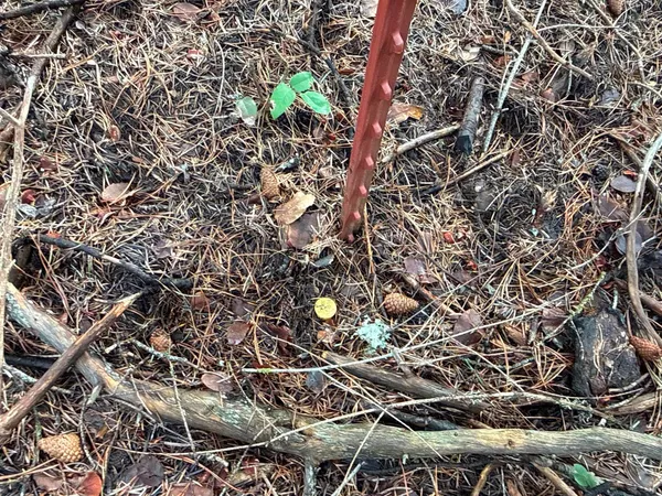 $40,000 | 4828 Eagle Ridge Way, Springdale, WA 99173