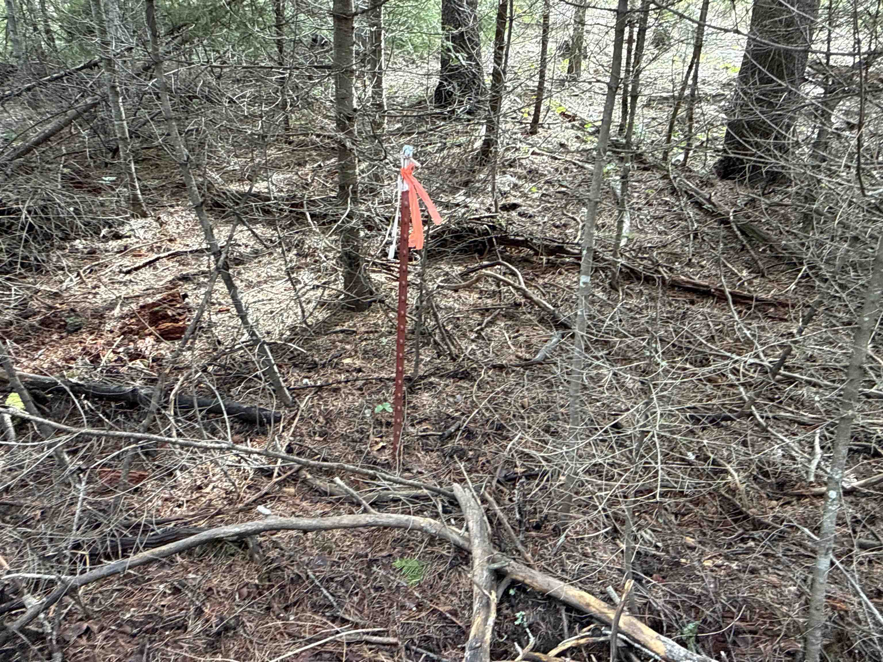 4828 Eagle Ridge Way Springdale, WA 99173 - Photo 9 of 23