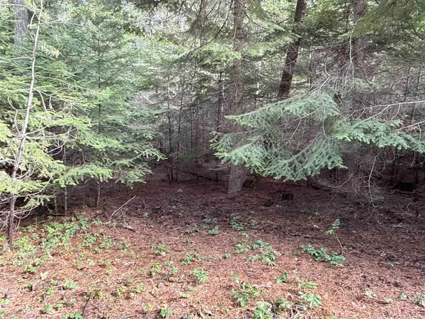 $40,000 | 4828 Eagle Ridge Way, Springdale, WA 99173