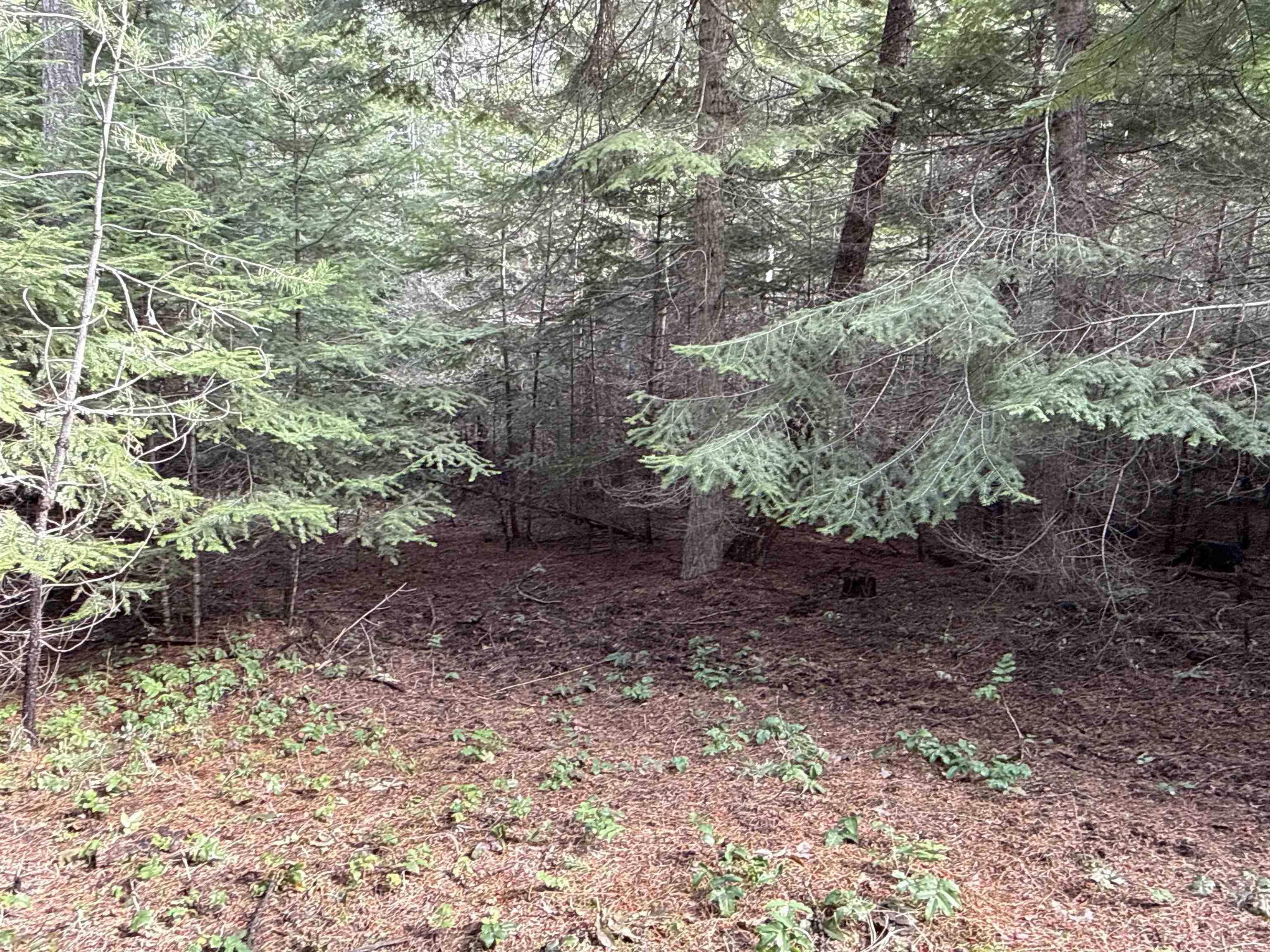 4828 Eagle Ridge Way Springdale, WA 99173 - Photo 10 of 23