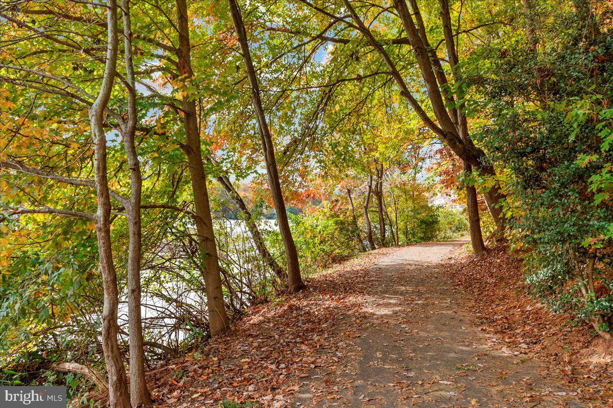 12108 Quorn Lane Reston, VA 20191 - Photo 65 of 91 Reston Trail System (55 miles of trails)