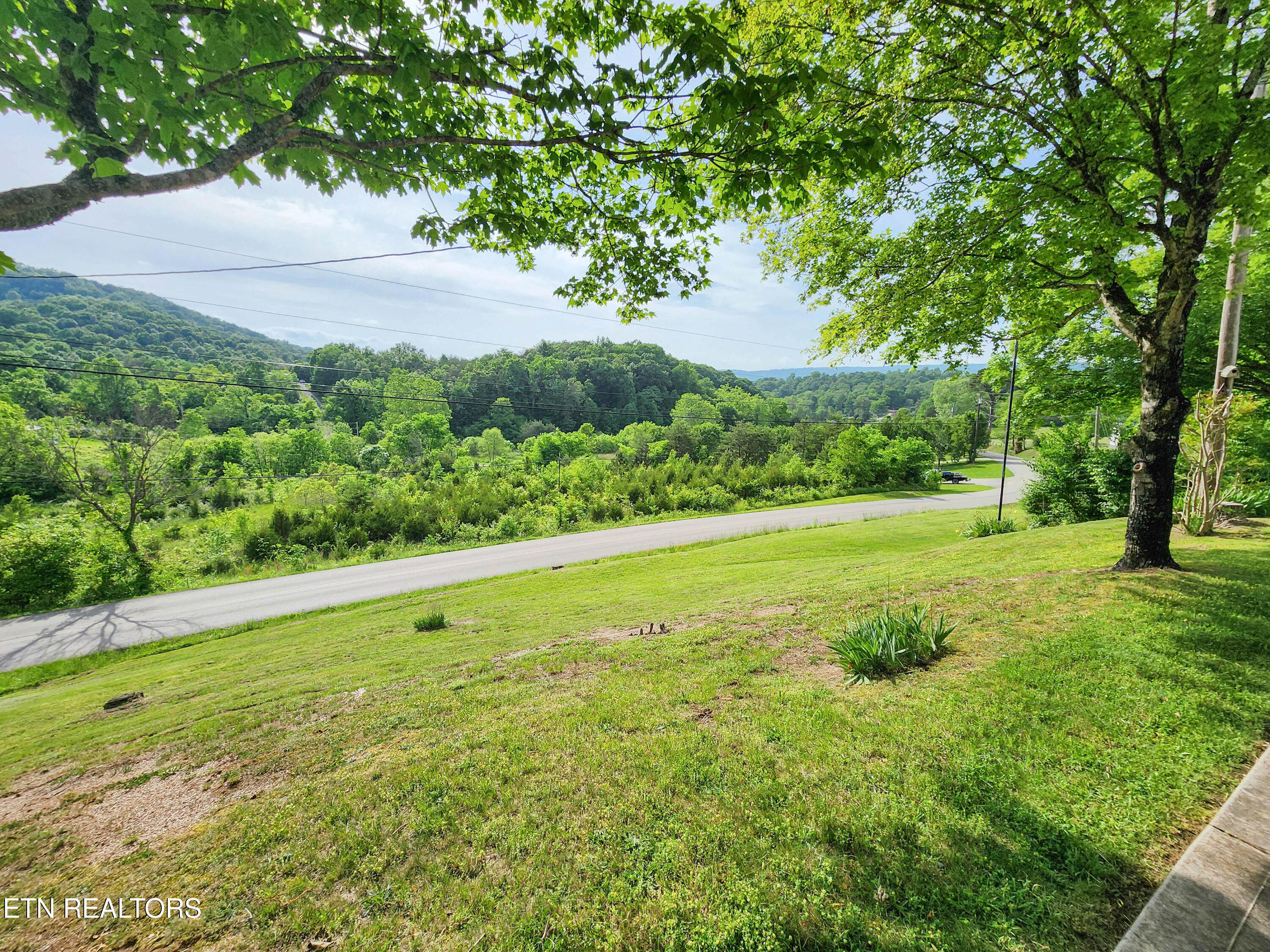 1711 Rocky Branch Road Rutledge, TN 37861 - Photo 13 of 42 rocky branch view3