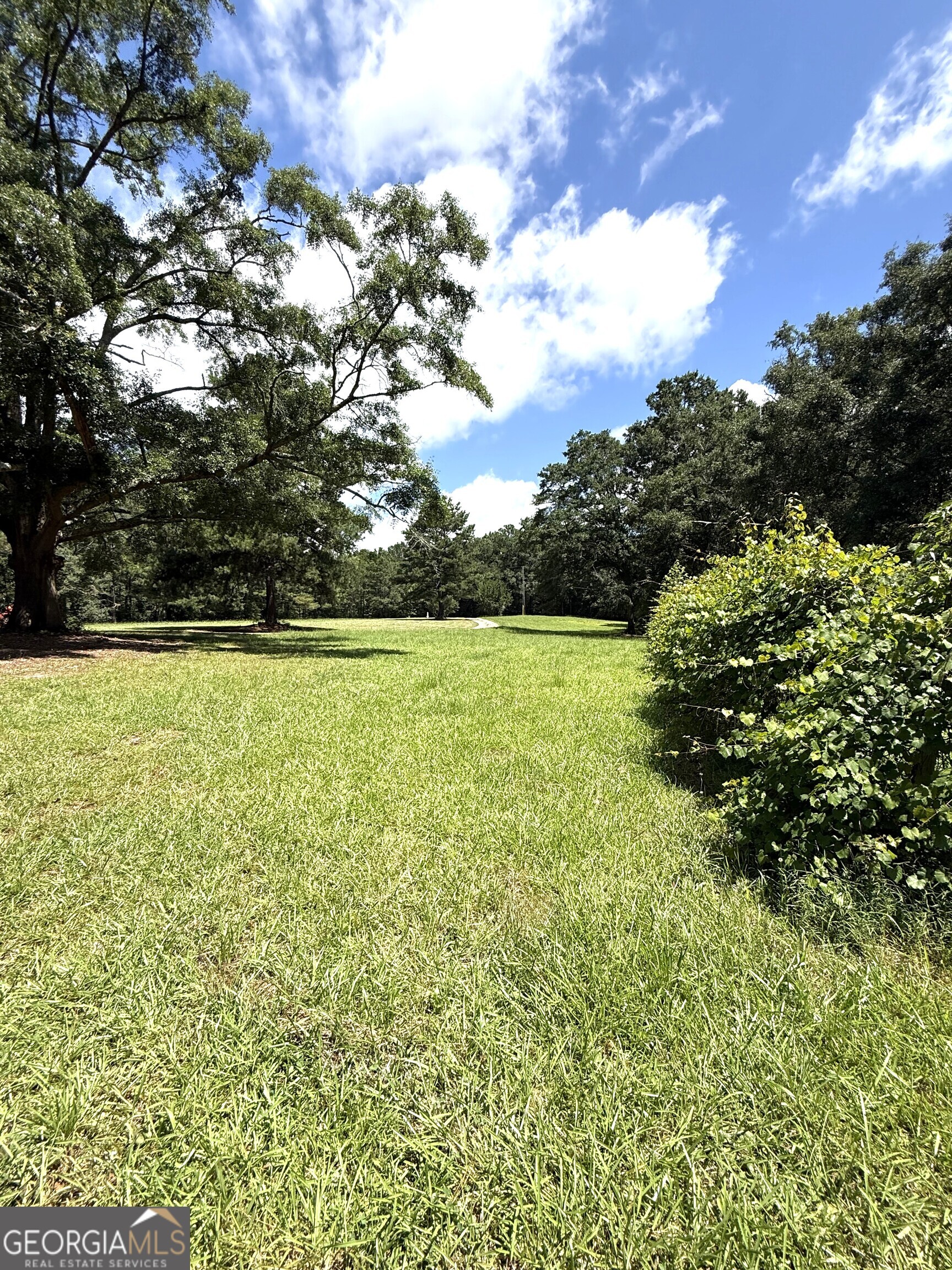 725 Musgrove Road Griffin, GA 30223 - Photo 45 of 52 a view of a green field with lots of bushes