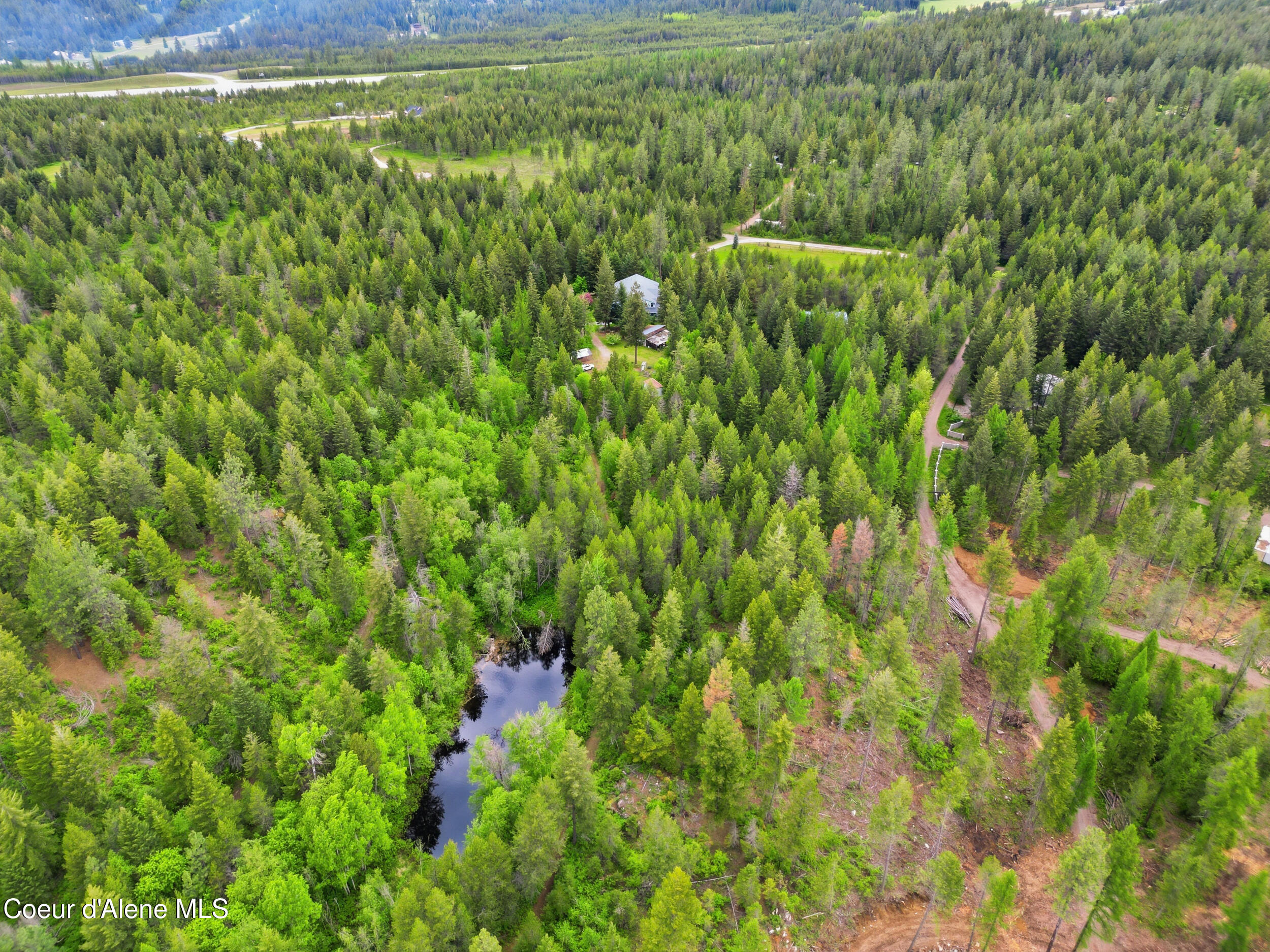 80 Rodeo Road Athol, ID 83801 - Photo 53 of 60 pond