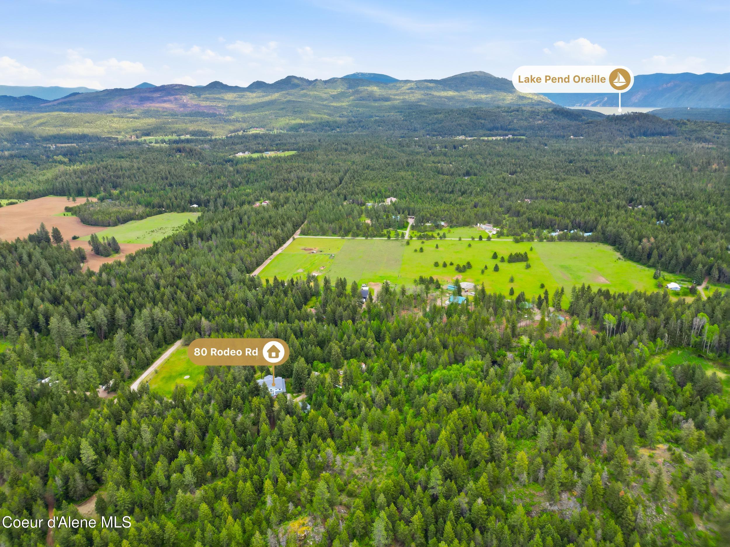 80 Rodeo Road Athol, ID 83801 - Photo 55 of 60 aerial location