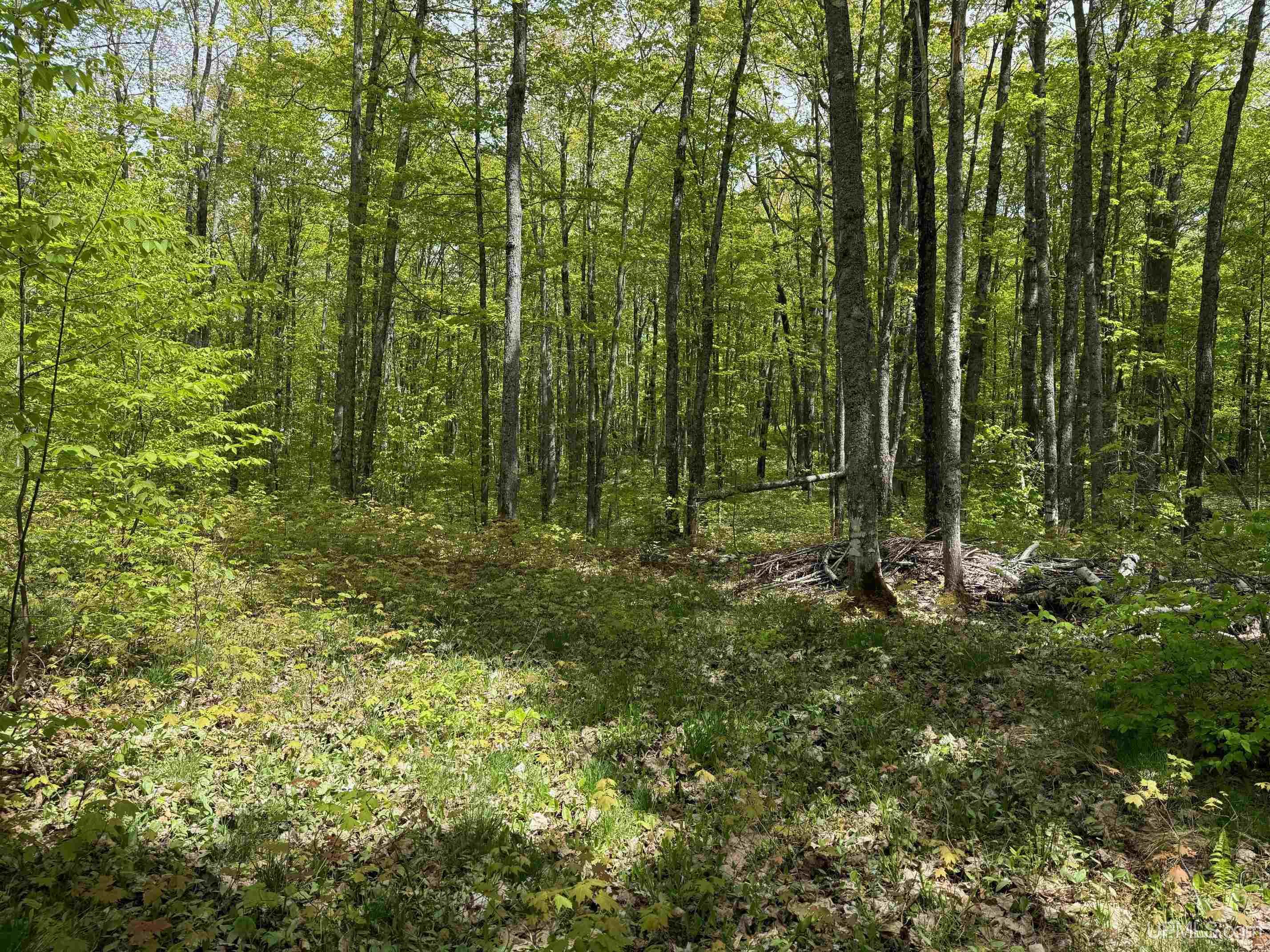 Tbd10 Twin Lakes Road Toivola, MI 49965 - Photo 7 of 18 Gallery Image 7